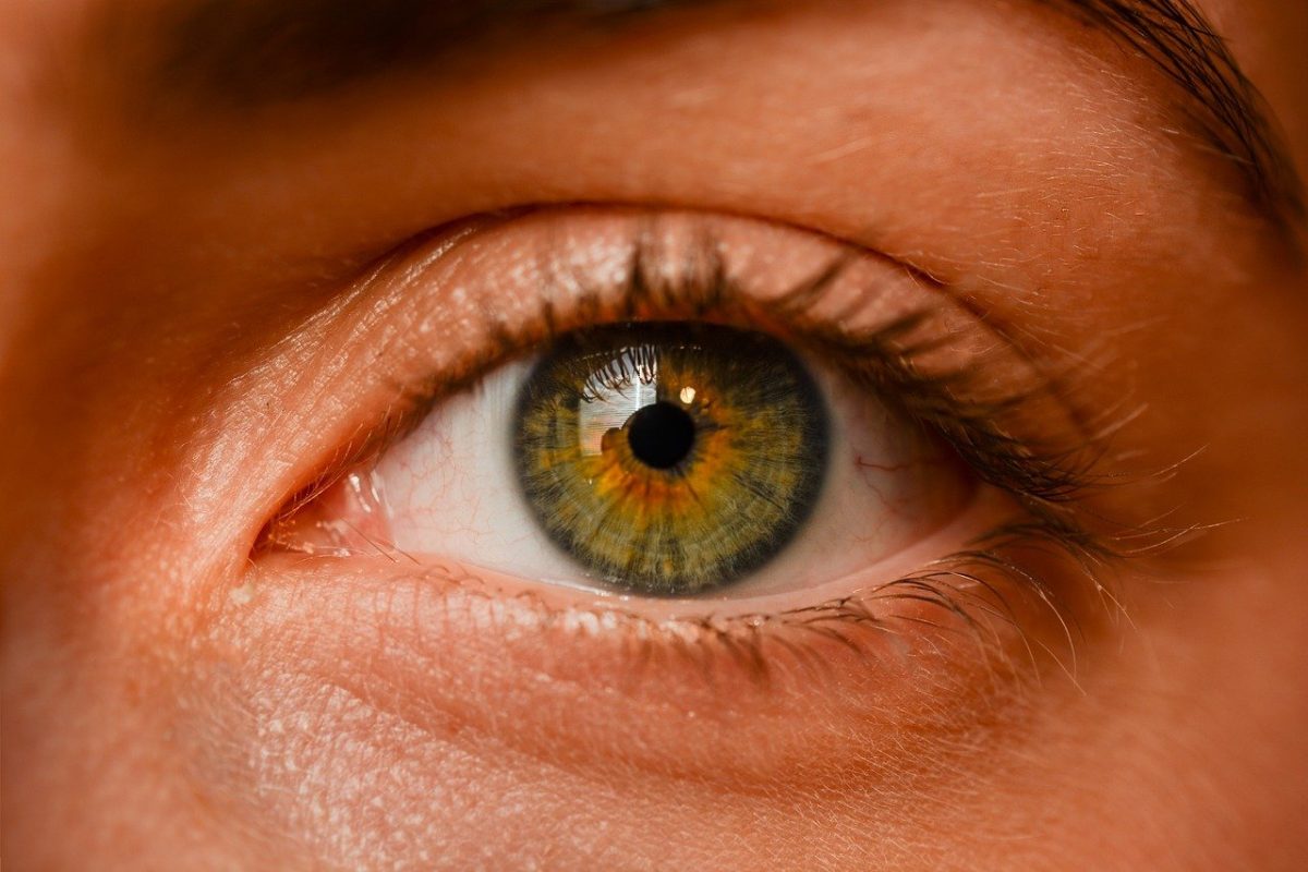Oczy to ekstrawagancki organ. To dokładnie dzięki nim widzimy.